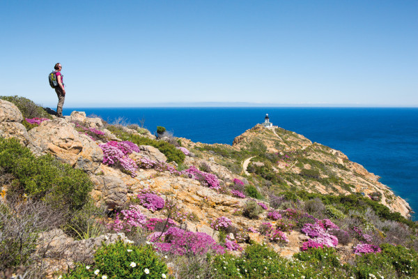 Wandern im Frühling auf Korsika